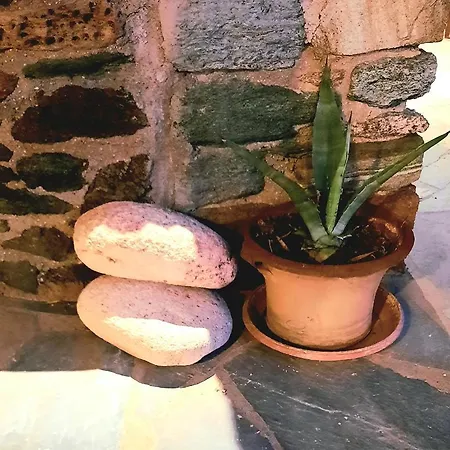 Aegean Living