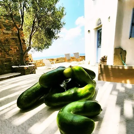 Aegean Living Agios Romanos